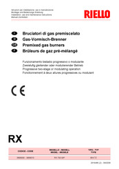 Riello RX 700 S/P Manuel D'entretien