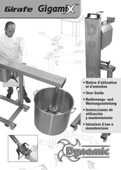Dynamic Girafe GIGAMIX Notice D'utilisation Et D'entretien
