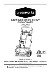 GreenWorks 2600402 Guide D'utilisation