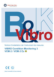 Brüel & Kjaer Vibro VCM 3 Notice D'installation