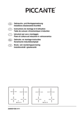 PICCANTE 5911199 Instructions De Montage Et D'utilisation