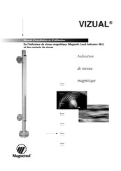 Magnetrol Vizual 6 Série Manuel D'installation Et D'utilisation