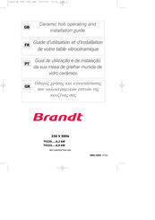 Brandt TV220BS1 Guide D'utilisation Et D'installation