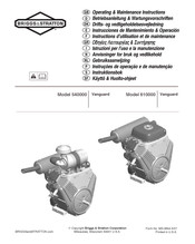 Briggs & Stratton Vanguard 610000 Instructions D'utilisation Et De Maintenance