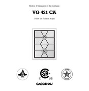 Gaggenau VG 421 CA Notice D'utilisation Et De Montage