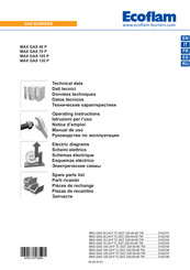 Ecoflam MAX GAS 40 P Mode D'emploi