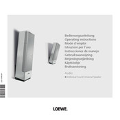 Loewe Individual Sound Universal Speaker Mode D'emploi