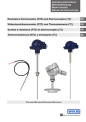 WIKA TR10-H Mode D'emploi