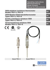 WIKA TR31-K Mode D'emploi