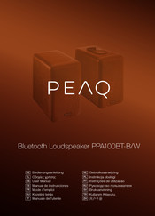 Peaq PPA100BT-B Mode D'emploi