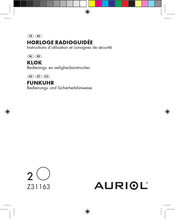 Auriol Z31163 Instructions D'utilisation Et Consignes De Sécurité