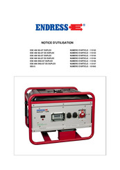 Endress ESE 606 DSG-GT ES DUPLEX Notice D'utilisation