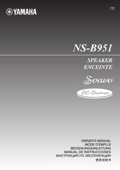 Yamaha Svavo NS-B951 Mode D'emploi