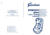 Giordani pegasus plus Guide D'utilisation
