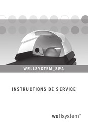 Wellsystem SPA Instructions De Service