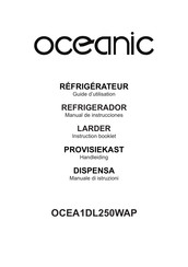 Oceanic OCEA1DL250WAP Guide D'utilisation