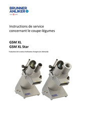 Brunner Anliker GSM XL Star Instructions De Service
