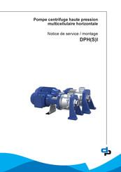 DP Pumps DPSI Instructions De Service