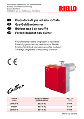 Riello BS3/M TL Manuel D'entretien