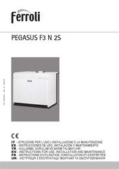 Ferroli PEGASUS F3 N 2S Instructions D'utilisation, D'installation Et D'entretien