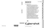 Sony Cyber-shot DSC-S2100 Mode D'emploi