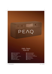 Peaq PDR100 Mode D'emploi