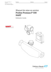 Endress+Hauser Proline Prosonic Flow P 500 Manuel De Mise En Service