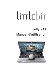 Littlebit Jelly X41 Manuel D'utilisation