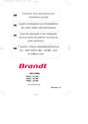 Brandt TV224 Série Guide D'utilisation Et D'installation