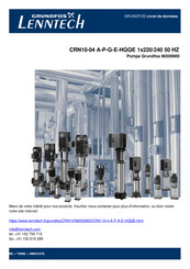 Grundfos CRN10-04 A-P-G-E-HQQE Mode D'emploi