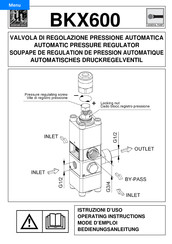 Interpump Group BKX600 Mode D'emploi
