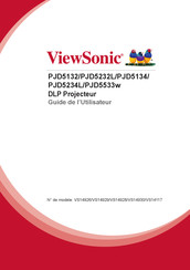 ViewSonic PJD5232L Guide De L'utilisateur
