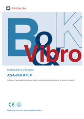 Brüel & Kjaer Vibro ASA-068/200/0 Instructions D'emploi