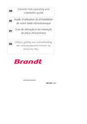 Brandt TV323BT1 Guide D'utilisation