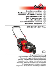 Grizzly BRM 42-141 T-OHV Trike Mode D'emploi