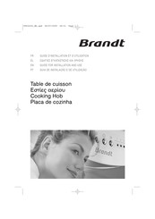 Brandt TE270 Série Guide D'installation Et D'utilisation