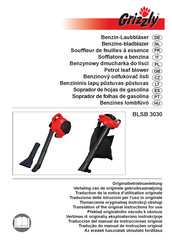 Grizzly BLSB 3030 Traduction De La Notice D'utilisation Originale