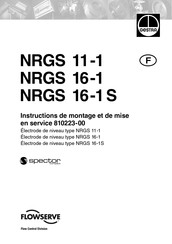 GESTRA NRGS 16-1 S Instructions De Montage Et De Mise En Service
