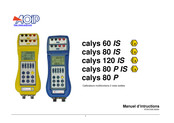 AOIP Calys 60 P Manuel D'instructions