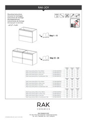 Rak Ceramics JOYWH100PWH Instructions De Montage