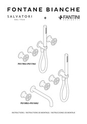 Fantini Rubinetti SALVATORI P017AU Mode D'emploi