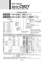 SMC CM2Y Série Mode D'emploi