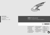Bosch GWS Professional 24-180 LVI Mode D'emploi
