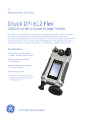 GE Druck DPI 612 Flex Mode D'emploi