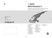Bosch GWS Professional Mode D'emploi