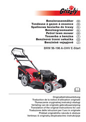 Grizzly BRM 56-196 A-OHV E-Start Traduction De La Notice D'utilisation Originale