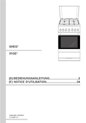 Amica SHEG Série Notice D'utilisation