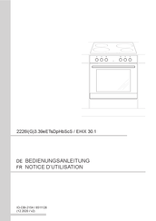 Amica EHIX 30.1 Notice D'utilisation