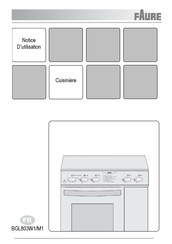 FAURE BGL803W1 Notice D'utilisation