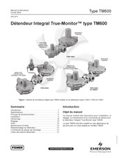 Emerson Fisher True-Monitor TM600 Manuel D'instructions